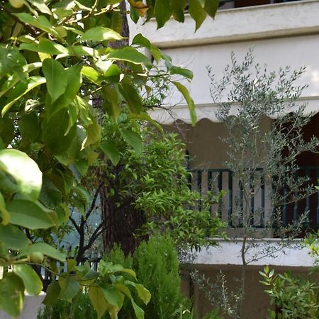 Alexander Aparthotel Pefkochori Bagian luar foto