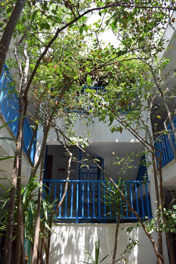 Alexander Aparthotel Pefkochori Bagian luar foto
