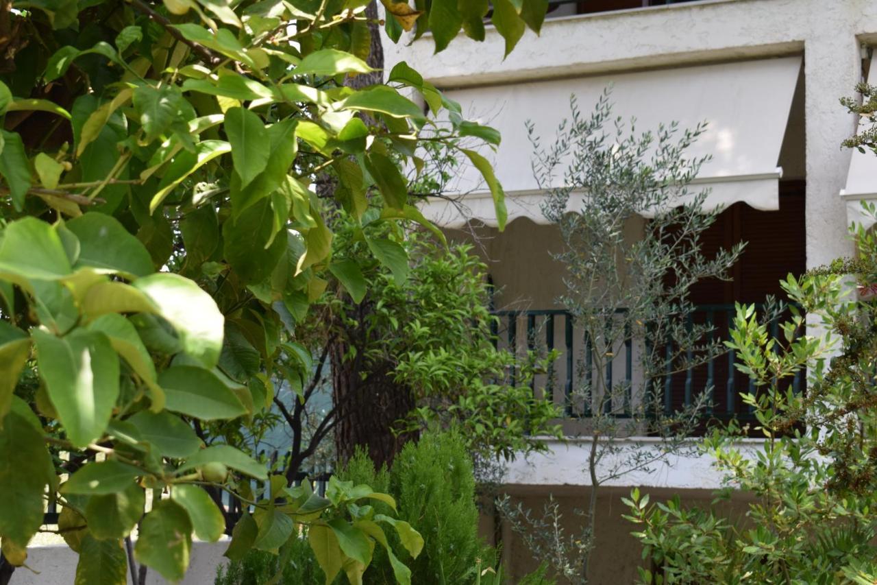 Alexander Aparthotel Pefkochori Bagian luar foto